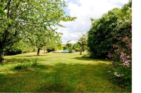 The Garden with Pool in background