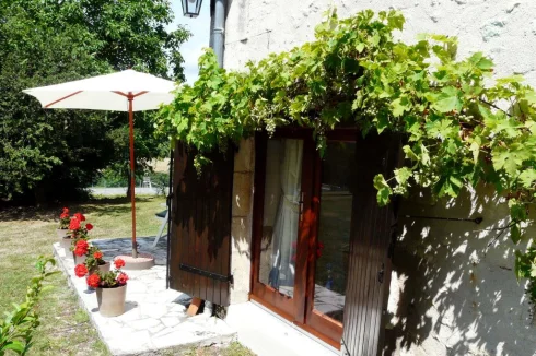 Side view with grapevine