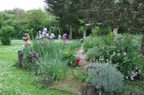 Garden across quiet country road. Mature planting in two 'islands'.