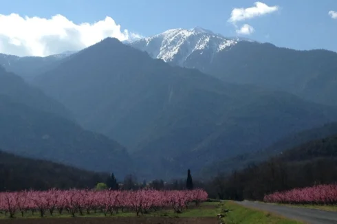 Abbey view to Canigou