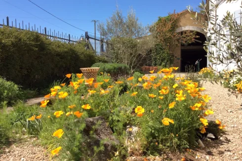 Front Garden