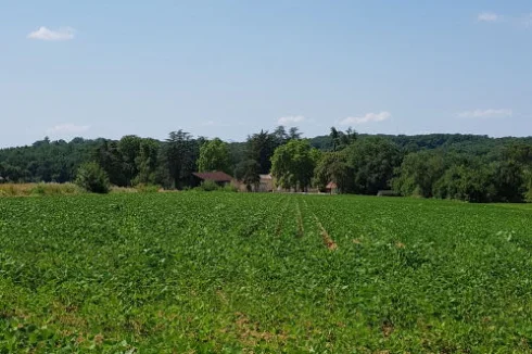 Surrounded by countryside