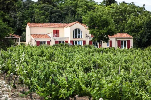 House from vineyard