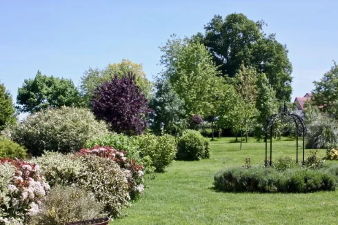 a part of the garden