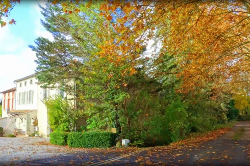 Driveway in Autumn