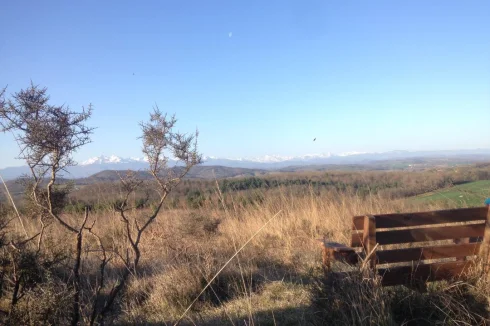 Bench with a view