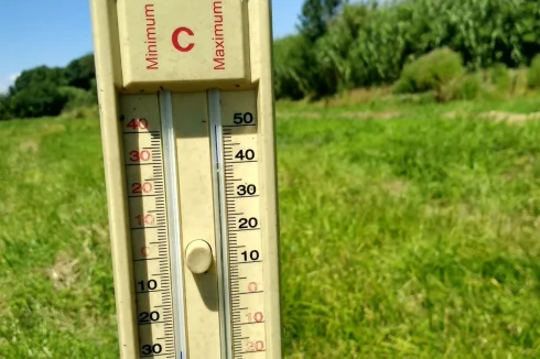 38 °C - summer heat at full blast and still green meadows (note the reeds top right)