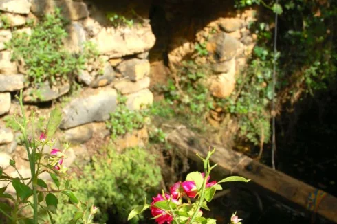 The source adjacent to the stone house with valuable water all year round, every day available