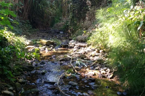 The streamlet running through the property.