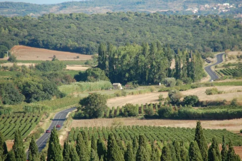 Looking South from the church tower, at the foot of the poplars,  the stone house in the prairie