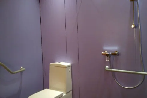 The special toilet and roll-in shower with seat and handles