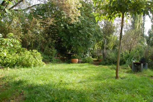 Next to source a shaded lawn for having breakfast or lunch + fig tree with fresh figs twice a year