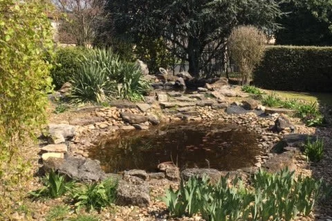 the pond in the front garden