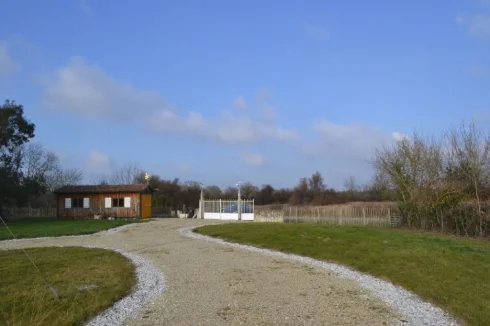 Garden & Driveway