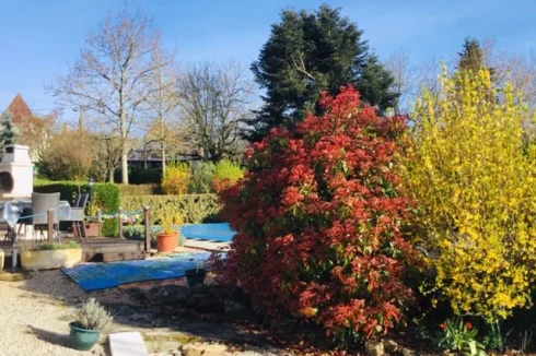 Shrubbery providing privacy around the pool