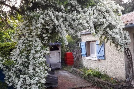 Early Spring, the terrace