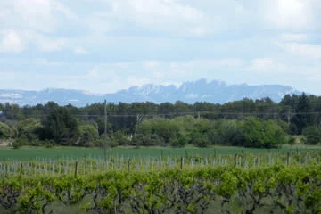 Looking East from the lower vineyard