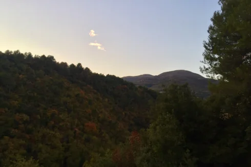 View from Terrace