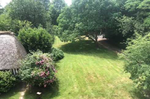 Garden and thatched cottage