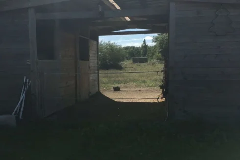 Timber purpose-built 4 stall stable block opening into main paddock