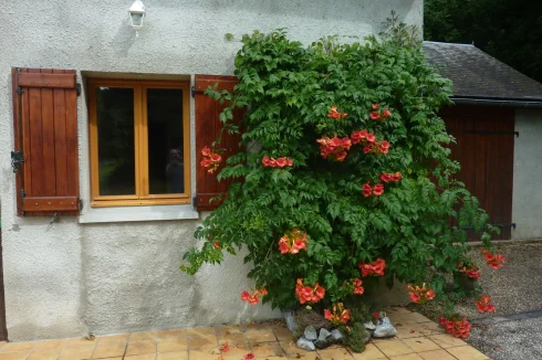 Kitchen window