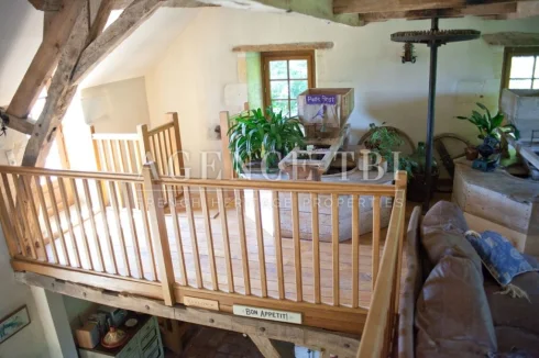 163 TBI MOULIN DE CHARME EN TOURAINE